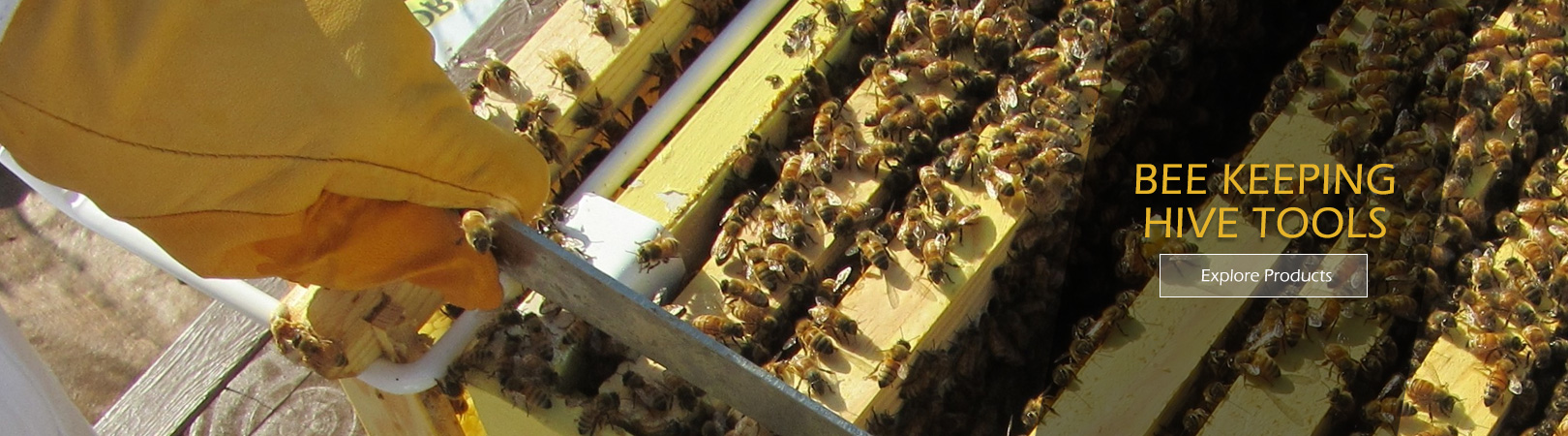 Manufacturers and Exporters beekeeping hivetools